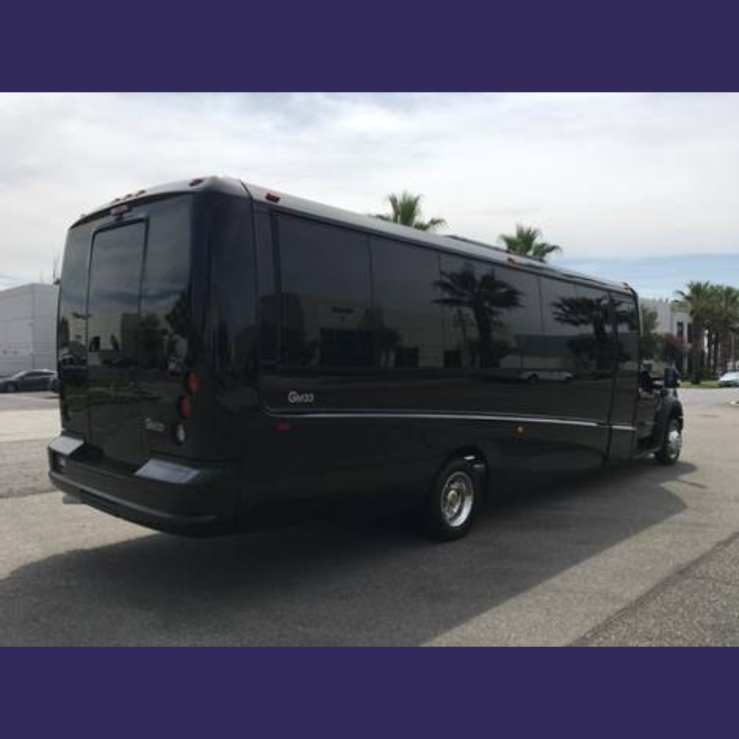 Party Bus Biloxi fleet photo 1