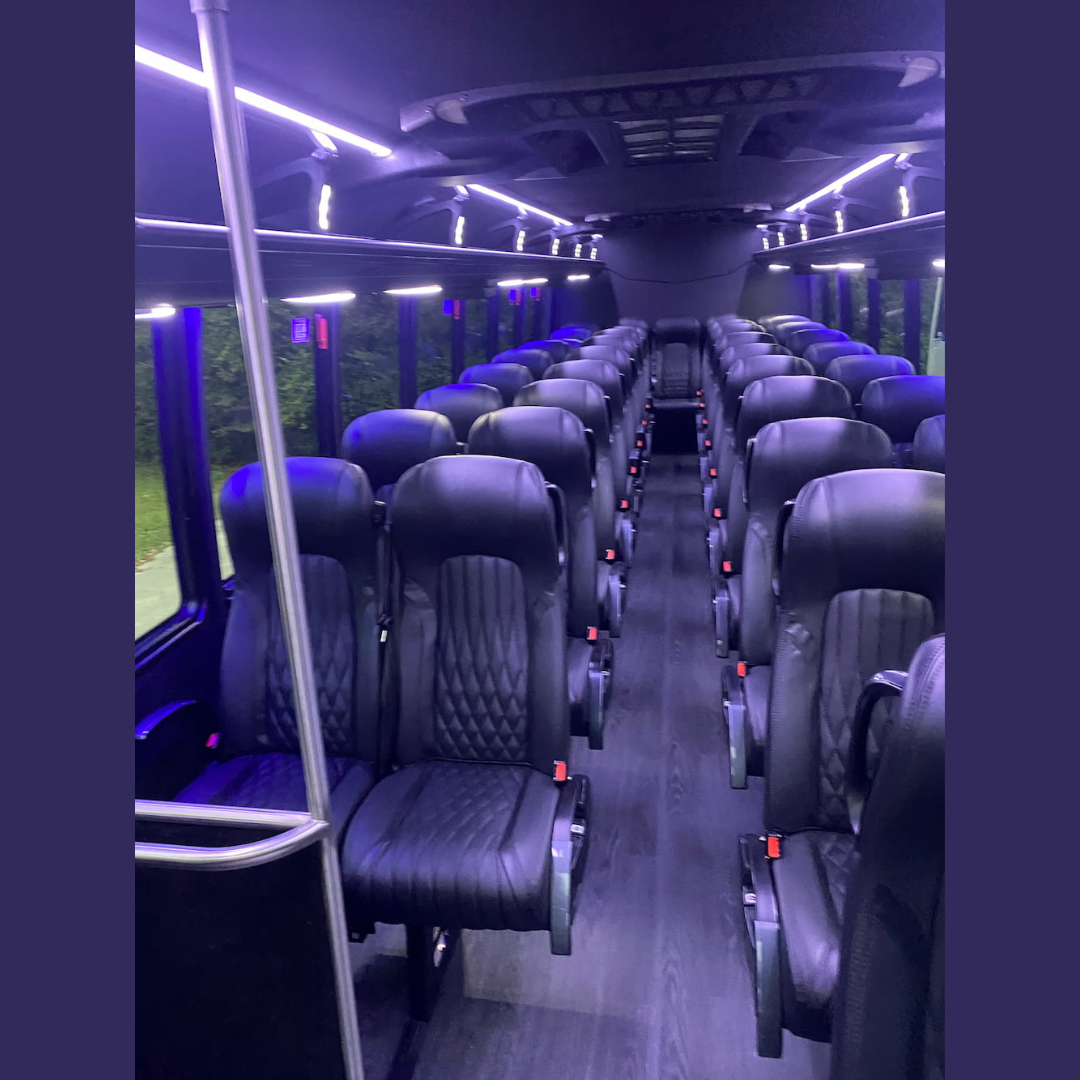 Party Bus Biloxi fleet photo 10