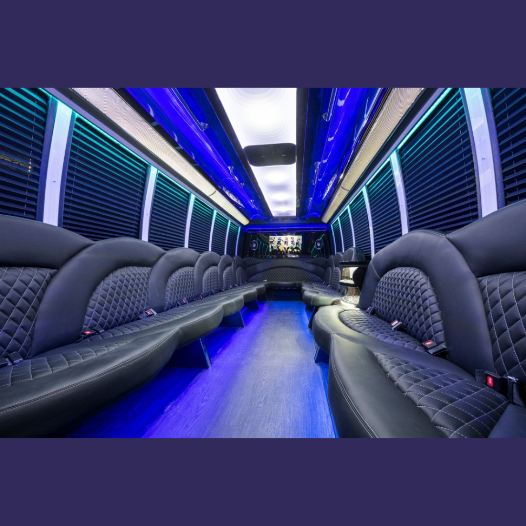 Party Bus Biloxi fleet photo 11