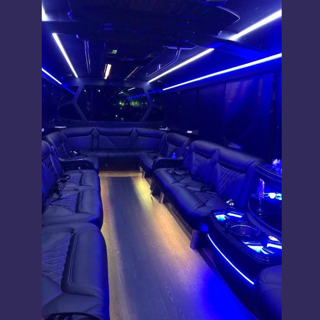 Party Bus Biloxi fleet photo 12