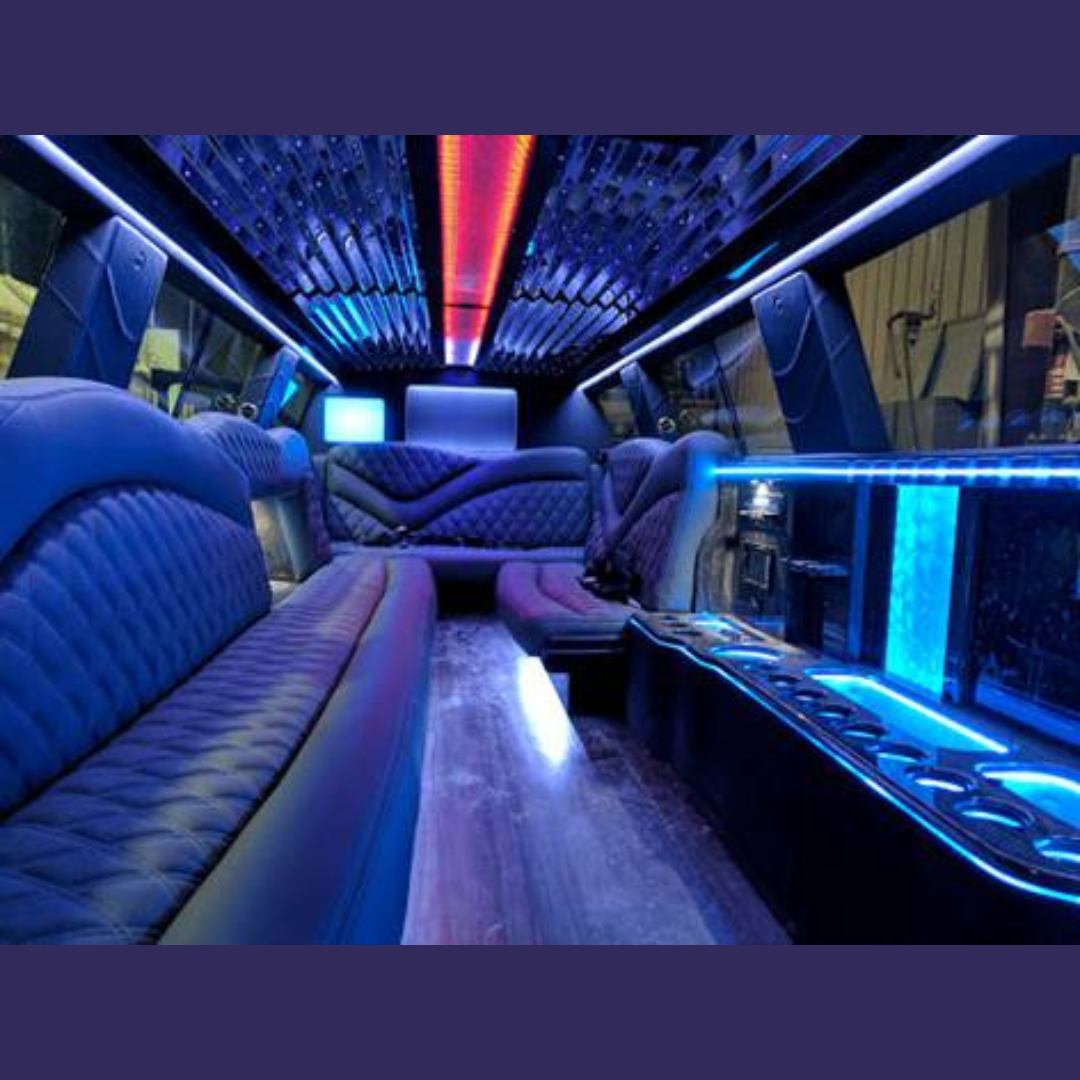 Party Bus Biloxi fleet photo 13