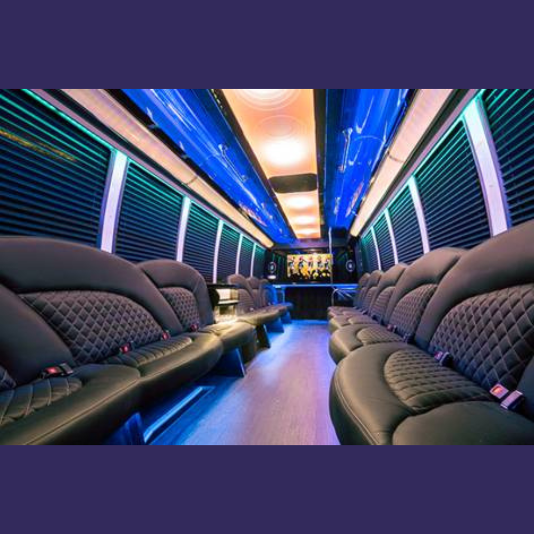 Party Bus Biloxi fleet photo 15