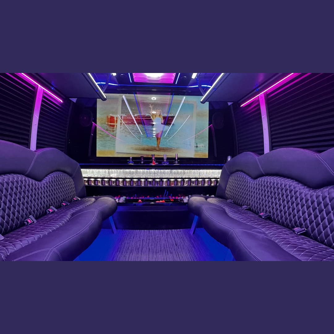 Party Bus Biloxi fleet photo 16