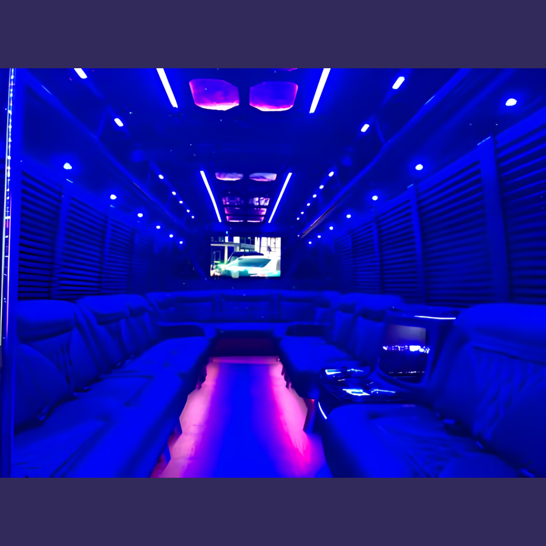 Party Bus Biloxi fleet photo 17