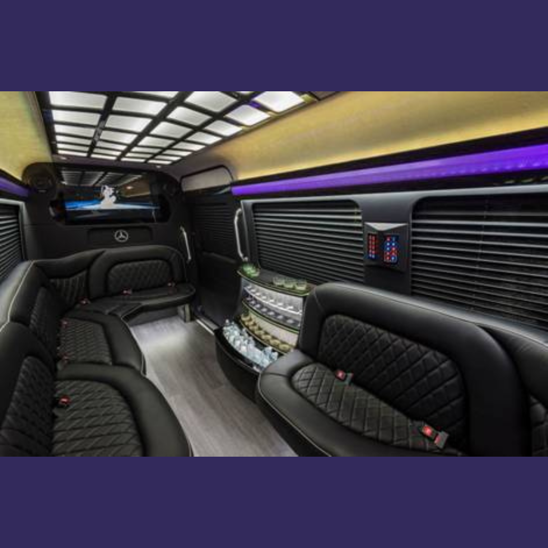 Party Bus Biloxi fleet photo 20