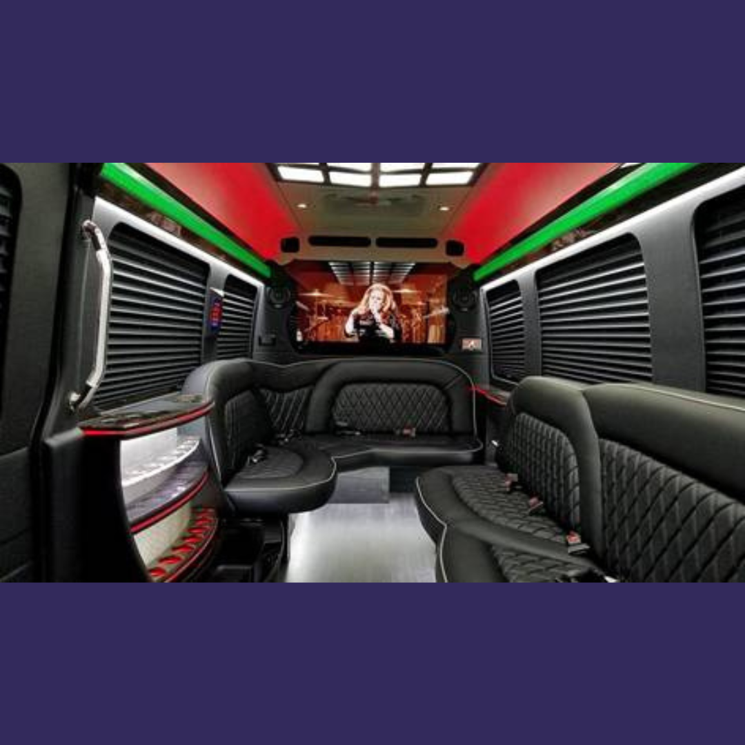 Party Bus Biloxi fleet photo 21