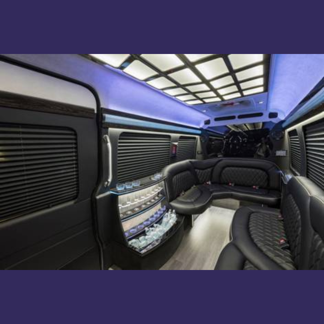 Party Bus Biloxi fleet photo 22