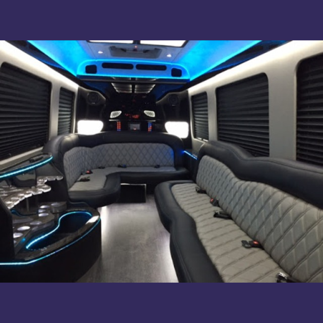 Party Bus Biloxi fleet photo 23