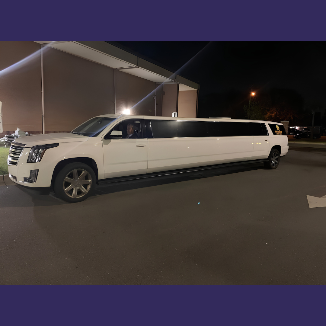 Party Bus Biloxi fleet photo 7